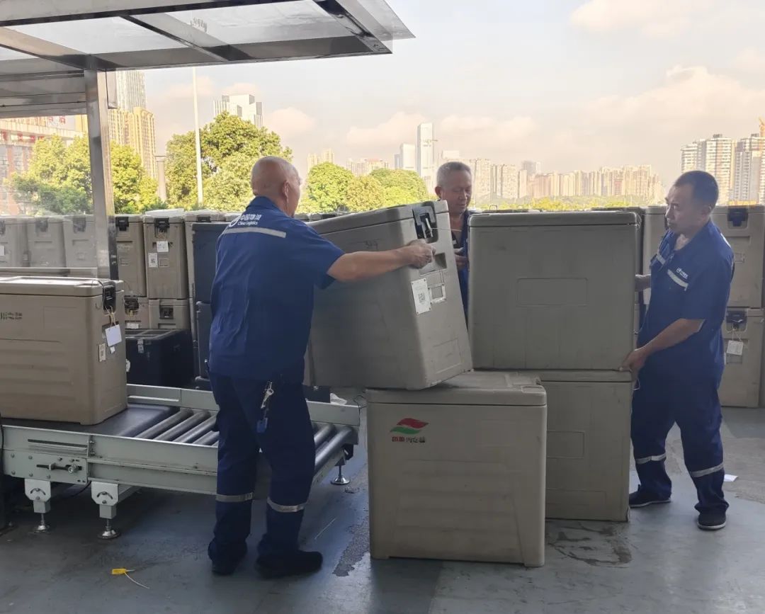 /uploads/news/2025/08/15/1755216896494001130.jpg /uploads/news/2025/08/15/1755216896494001130.jpg